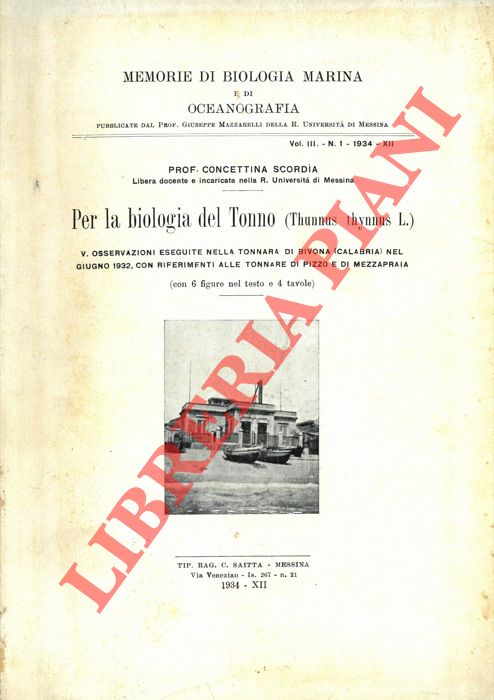 SCORDIA Concettina - - Per la biologia del Tonno. (Thunnus thynnus L.) V - Osservazioni eseguite nella Tonnara di Bivona (Calabria) nel giugno 1932, con riferimenti alle Tonnare di Pizzo e Mezzapraia.