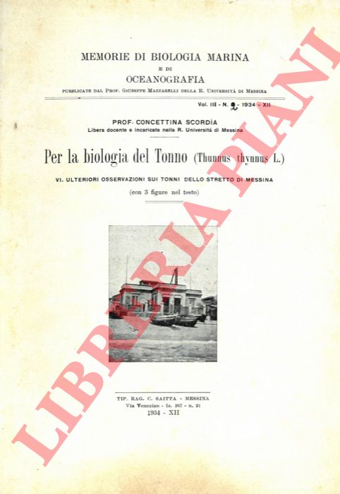 SCORDIA Concettina - - Per la biologia del Tonno. (Thunnus thynnus L.) VI - Ulteriori osservazioni sui tonni dello Stretto di Messina.