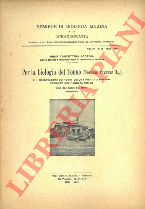 SCORDIA Concettina - - Per la biologia del Tonno. (Thunnus thynnus L.) VIII - Osservazioni sui tonni dello Stretto di Messina eseguite nell'annata 1934-35.