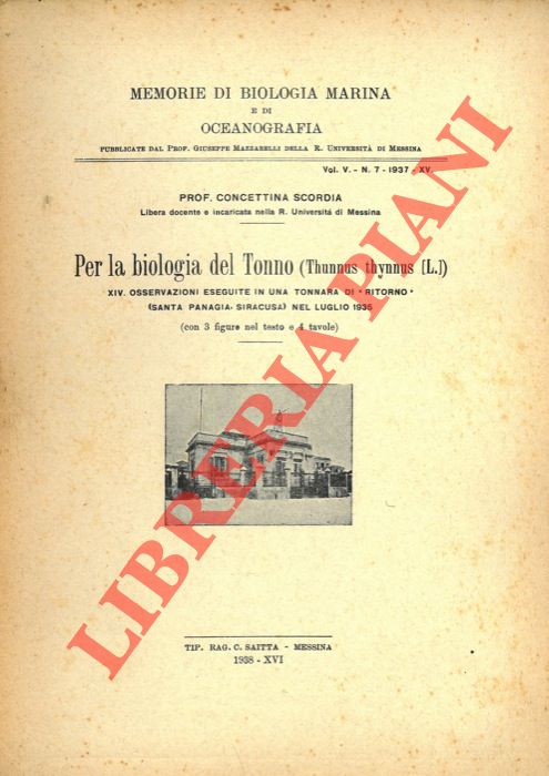 SCORDIA Concettina - - Per la biologia del Tonno. (Thunnus thynnus L.) XIV - Osservazioni eseguite in una tonnara 