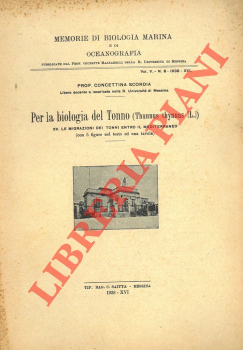 SCORDIA Concettina - - Per la biologia del Tonno. (Thunnus thynnus L.) XV - Le migrazioni dei tonni entro il Mediterraneo.