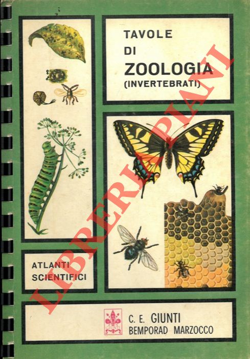 - - Tavole di zoologia (invertebrati)