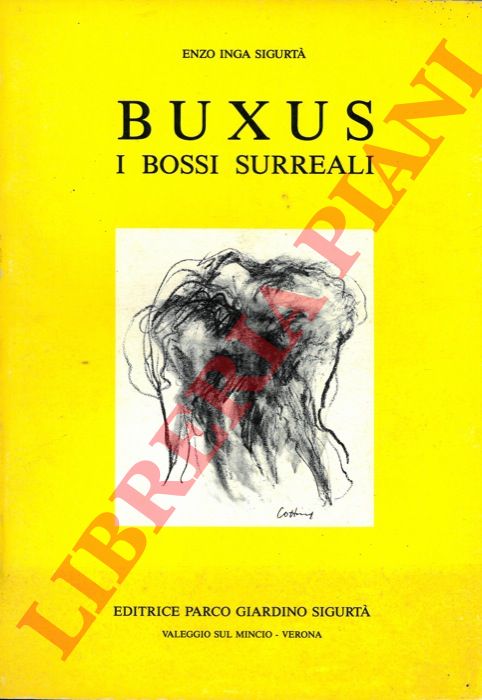 GIUSSANI Alberto - - Cotoneaster.
