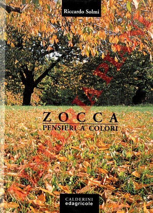 SOLMI Riccardo - - Zocca. Pensieri a colori.