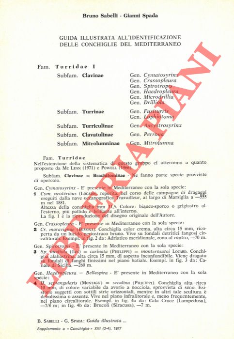 SABELLI Bruno - SPADA Gianni - - Guida illustrata all'identificazione delle conchiglie del Mediterraneo.
