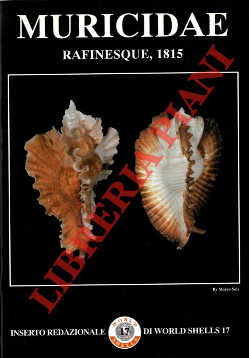 SOLA Marco - - Muricidae, Rafinesque, 1815.