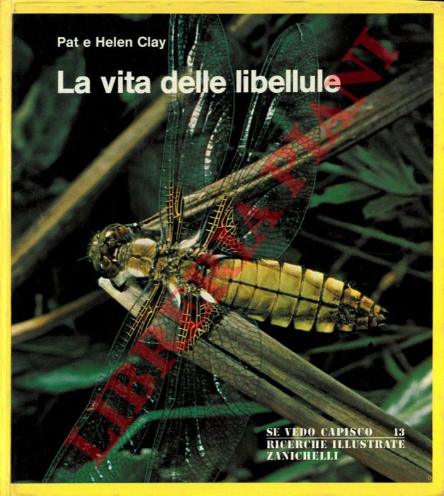 CLAY Pat e Helen - - La vita delle libellule.