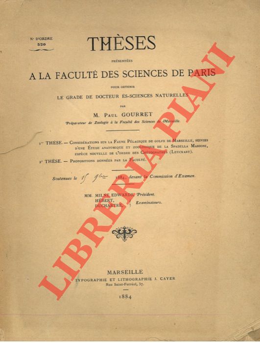 GOURRET Paul - - Considration sur la faune plagique du Golfe de Marseille, suivies d'une tude anatomique et zoologique de la Spadella Marioni, espce nouvelle de l'ordre des Chtognazthes (Lauckart).