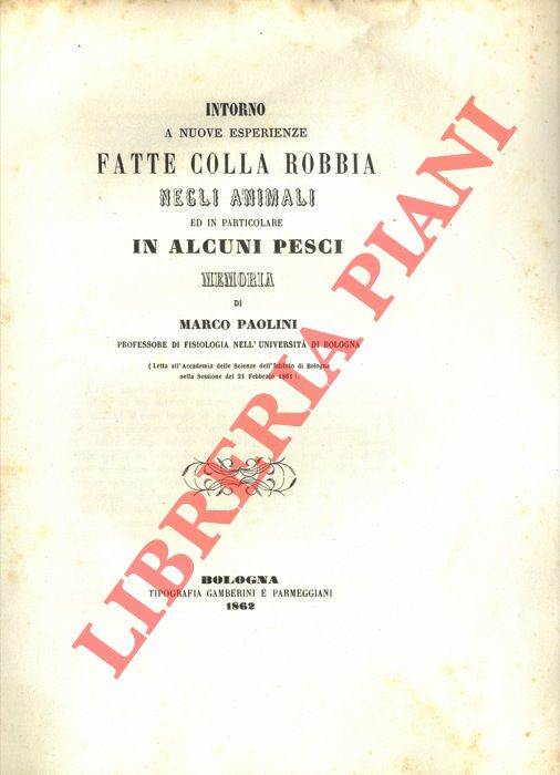 PAOLINI Marco - - Intorno a nuove esperienze fatte colla robbia negli animnali ed in particolare in alcuni pesci.