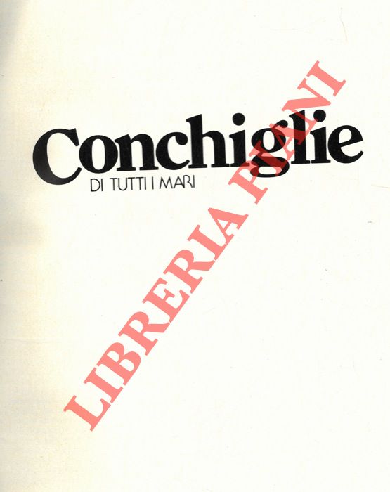 - - Conchiglie di tutti i mari.