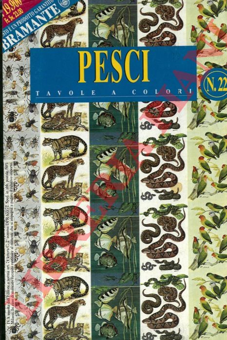 - - Vita degli animali. Invertebrati, Pesci, Anfibi, Rettili.