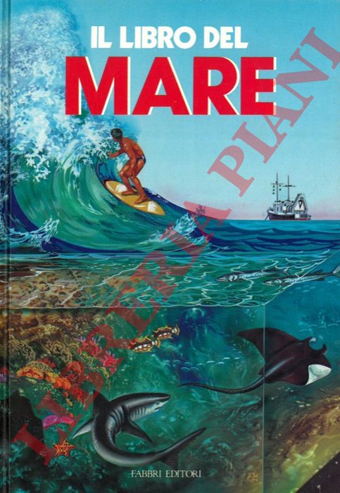 - - Il libro del mare.