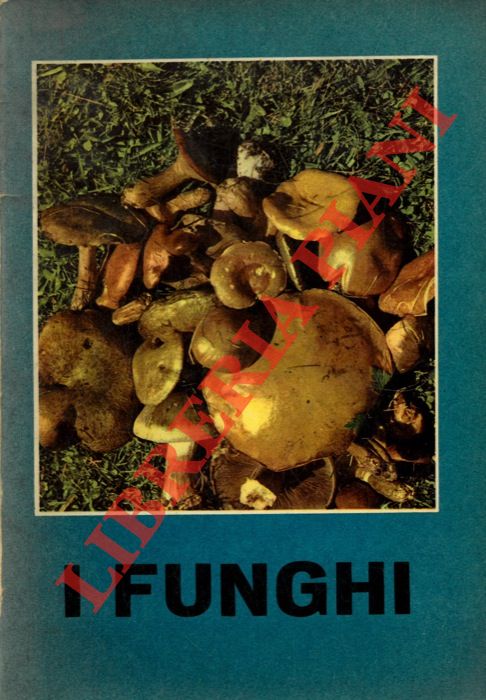 FENAROLI L. - TOSCO U. - - I funghi.