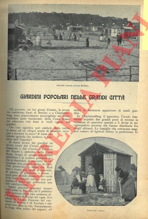 - - Giardini popolari nelle grandi citt.