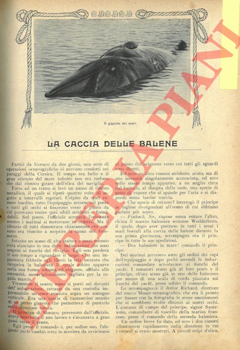 PORTIER P. - - La caccia delle balene.