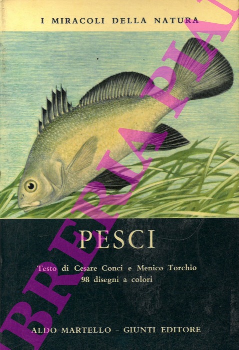 CONCI Cesare - TORCHIO Menico - HULSMANN Eva - - Pesci.