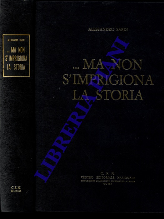 SARDI Alessandro - - ...ma, non s'imprigiona la storia.