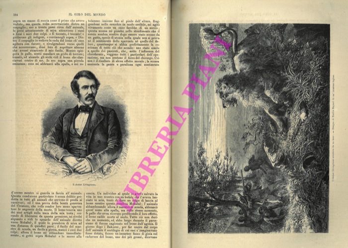 LIVINGSTONE - - L'Africa Australe. Primi viaggi del Dr. Livingstone.