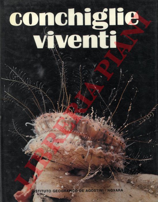 GAILLARD Jean M. - - Conchiglie viventi.