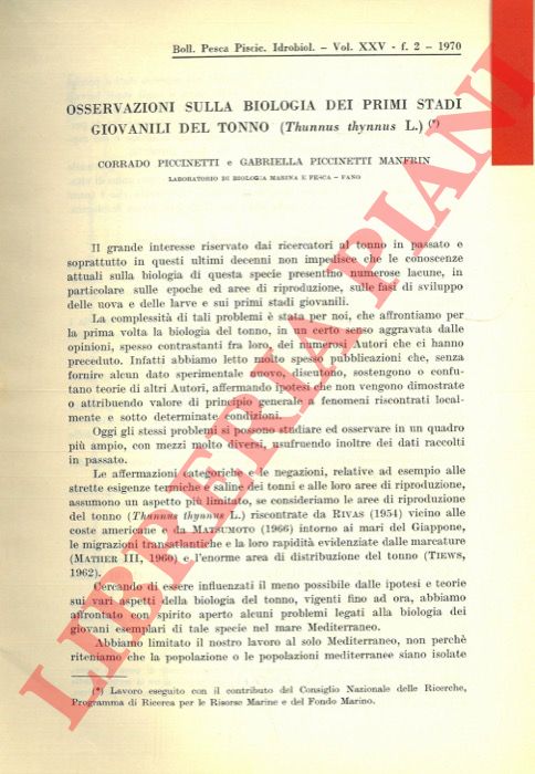 PICCINETTI Corrado - PICCINETTI MANFRIN Gabriella - - Osservazioni sulla biologia dei primi stadi giovanili del tonno (Thunnus thynnus L.) .