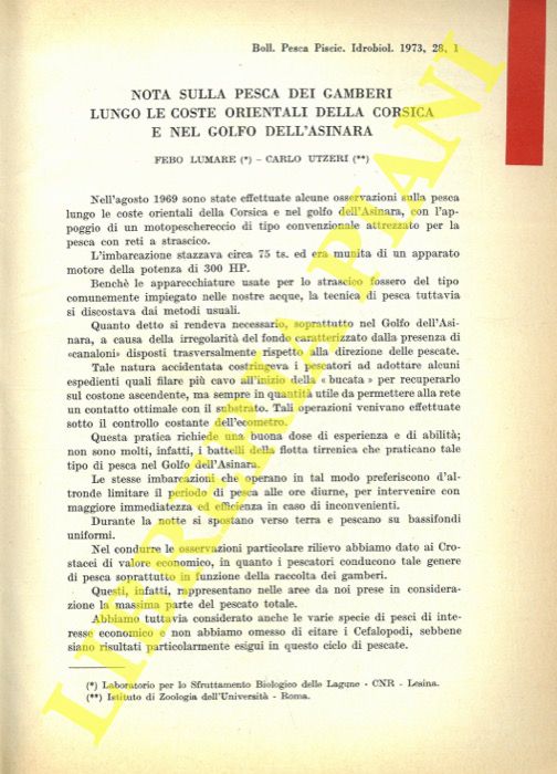 LUMARE Febo - UTZERI Carlo - - Nota sulla pesca dei gamberi lungo le coste orientali della Corsica e nel Golfo dell'Asinara.