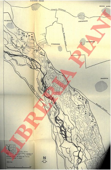 BIANCHI I. - FREDDIA A. - GIROD A. - MARIANI M. - - Considerazioni faunistiche e dinamiche di popolazioni di alcuni molluschi viventi nei fontanili lombardi.