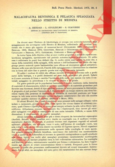 BERDAR A. - GUGLIELMO L. - GIACOBBE S. - - Malacofauna bentonica e pelagica spiaggiata nello Stretto di Messina.