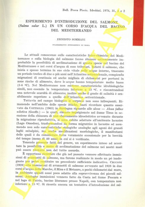SOMMANI Ernesto - - Esperimento d'introduzione del salmone (Salmo salar L.) in un corso d'acqua nel bacino del Mediterraneo.