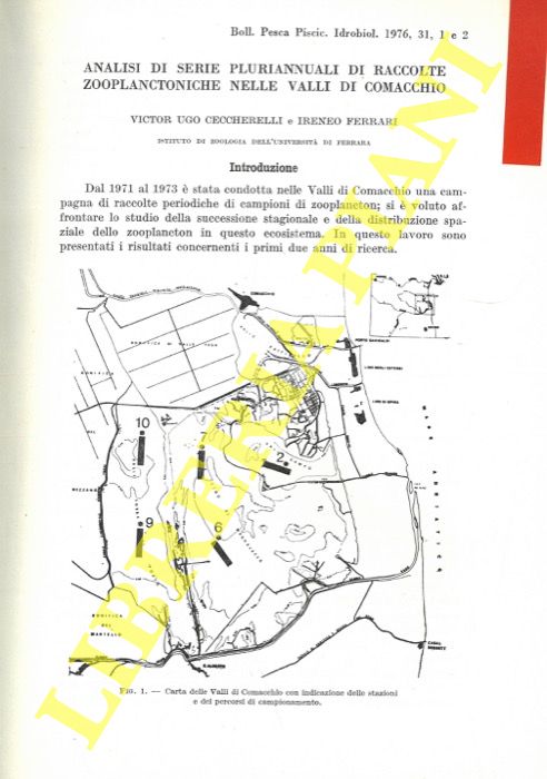 CECCHERELLI Victor Ugo - FERRARI Ireneo - - Analisi di serie pluriannuali di raccolte zooplanctoniche nelle Valli di Comacchio.