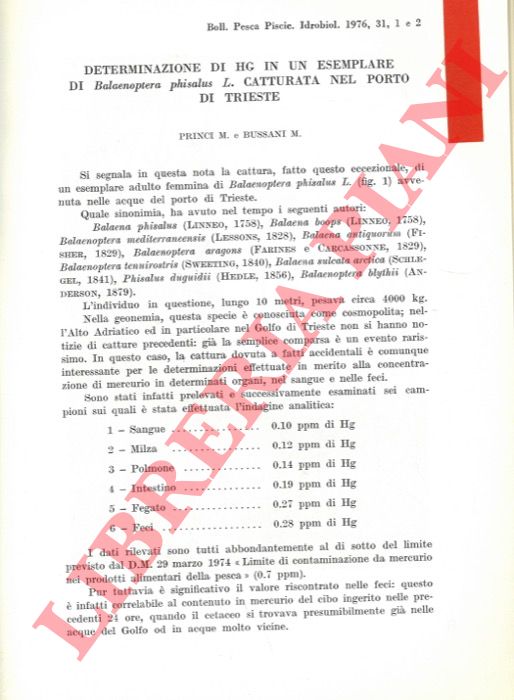 PRINCI M. - BUSSANI M. - - Determinazione di Hg in un esemplare di Balaenoptera phisalus L. catturata nel porto di Trieste.