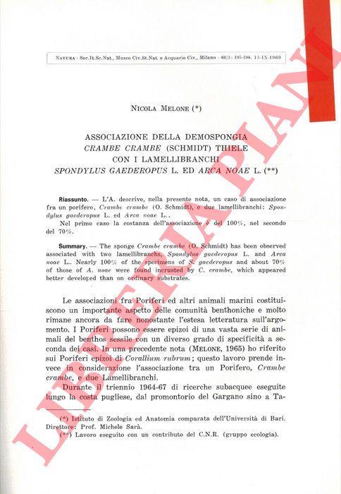 MELONE Nicola - - Associazione della Demospongia Crambe crambe (Schmidt) Thiele con i Lamellibranchi Spondylus gaederopus L. ed Arca noae L. .