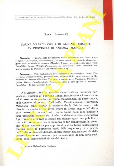 PEZZOLI E. - - Fauna malacologica di alcune sorgenti in Provincia di Ancona (Marche) .