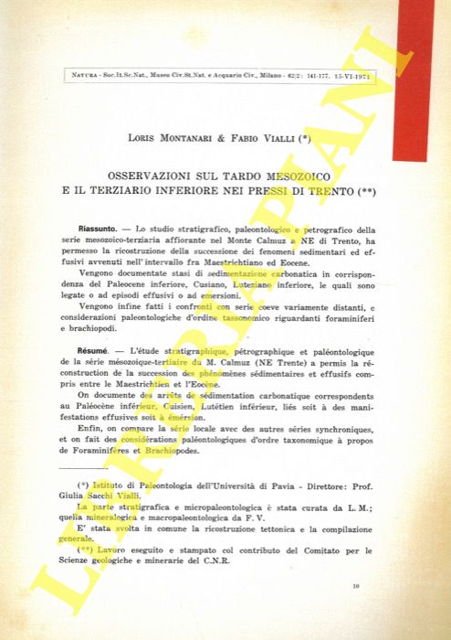 MONTANARI Loris - VIALLI Fabio - - Osservazioni sul tardo Mesozoico e il Terziario inferiore nei pressi di Trento.