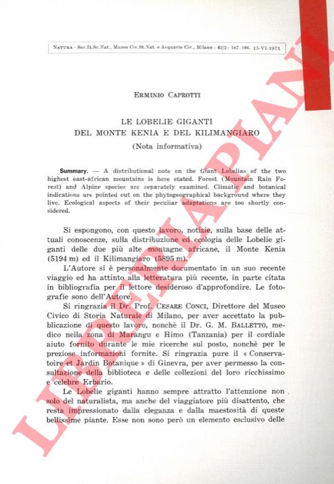 CAPROTTI Erminio - - Le Lobelie giganti del Monte Kenia e del Kilimangiaro.