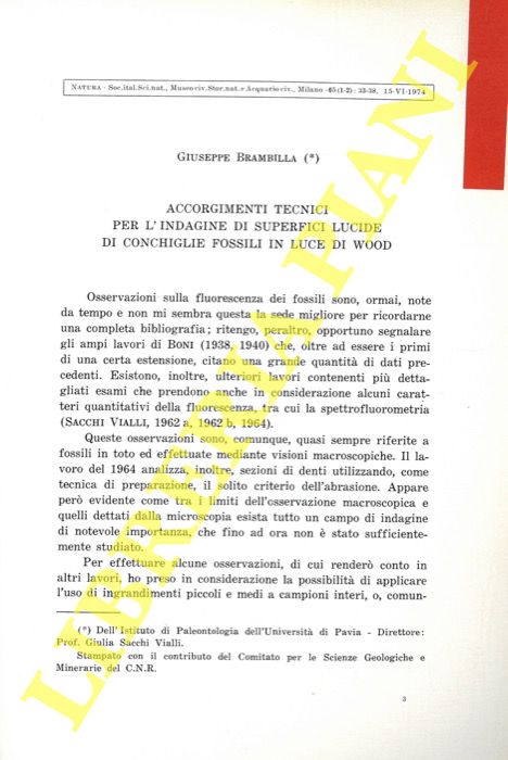 BRAMBILLA Giuseppe - - Accorgimenti tecnici per l'indagine di superfici lucide di conchiglie fossili in luce di Wood.