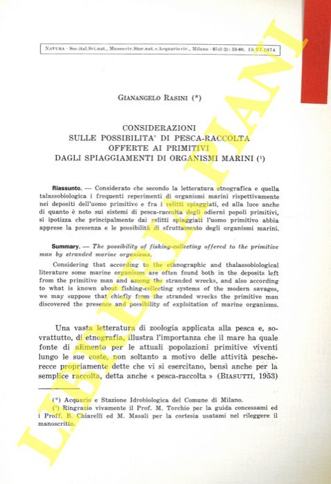 RASINI Gianangelo - - Considerazioni sulle possibilit dei pesca-raccolta offerte i primitivi dagli spiaggiamenti di organismi marini.