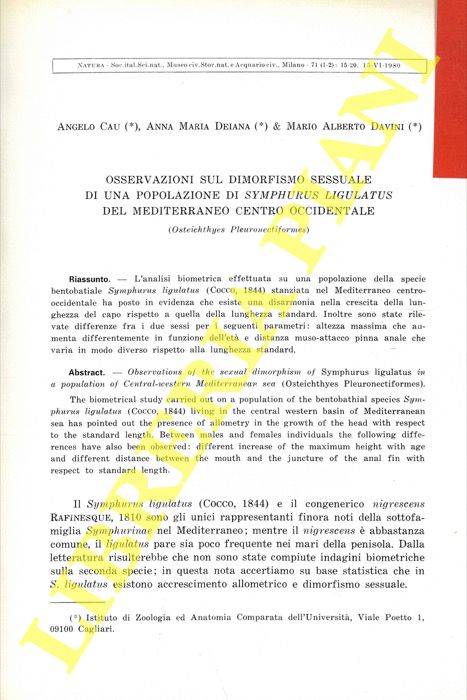 CAU Angelo - DEIANA Anna Maria - DAVINI Mario Alberto - - Osservazioni sul dimorfismo sessuale di una popolazione di Symphurus ligulatus del Mediterraneo centro occidentale (Osteichtyes Pleuronectiformes) .