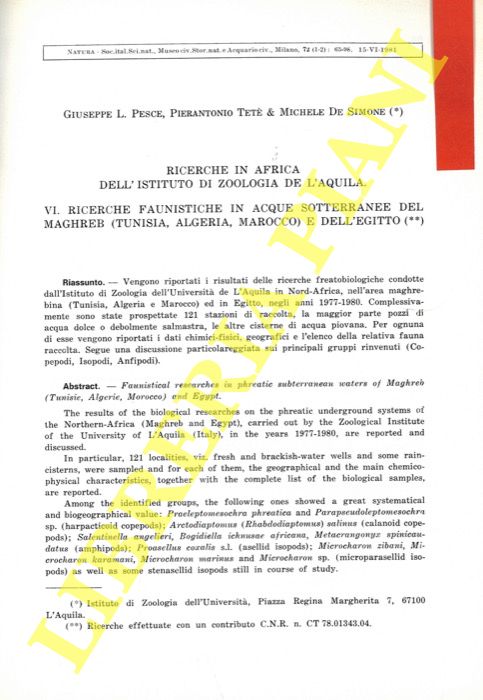 PESCE G. L. - TETE' P. - DE SIMONE M. - - Ricerche in Africa dell'Istituto di Zoologia de l'Aquila. VI. Ricerche faunistiche in acque sotterranee del Maghreb (Tunisia, Algeria, Marocco) e dell'Egitto.