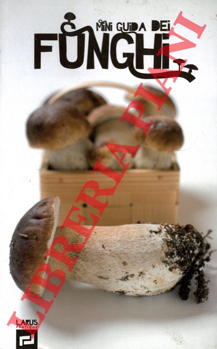 - - Funghi