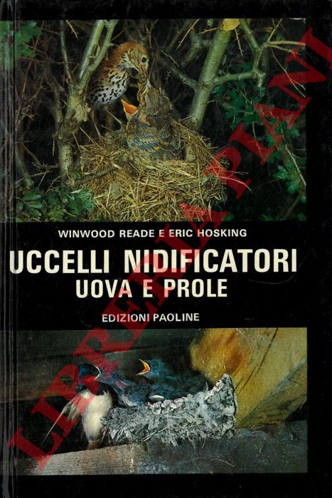 READE Windwood - HOSKING Eric - - Uccelli nidificatori uova e prole.