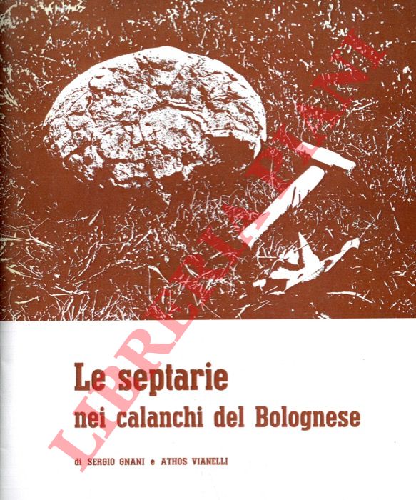 GNANI Sergio - VIANELLI Athos - - Le septarie nei calanchi bolognsi.