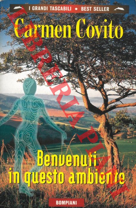 COVITO Carmen - - Benvenuti in questo ambiente.