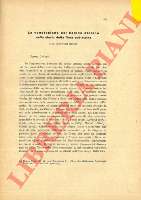 NEGRI Giovanni - - La vegetazione del bacino atesino nella storia della flora sud-alpina.