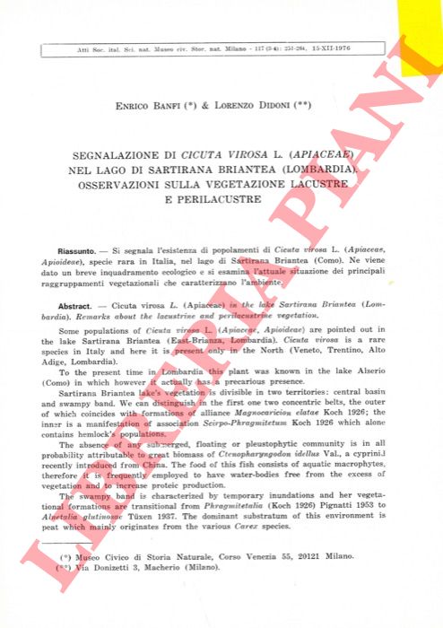 BANFI Enrico - DIDONI Lorenzo - - Segnalazione di Cicuta virosa L. (Apiaceae) nel lago di Sartirana Briantea (Lombardia) . Osservazioni sulla vegetazione lacustre e perilacustre.
