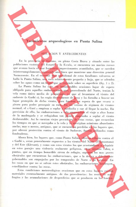 FORSTER LAURES F. - PASCUAL GUASH R. - - Yacimientos arqueologicos en Punta Salina.