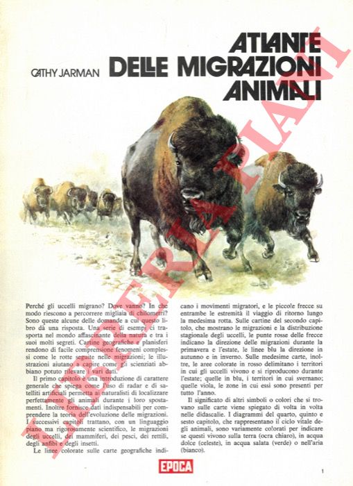 JARMAN Cathy - - Atlante delle migrazioni animali.