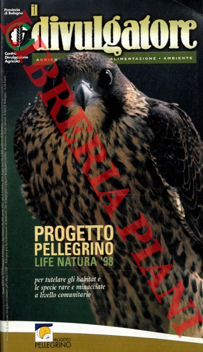 - - Progetto pellegrino.