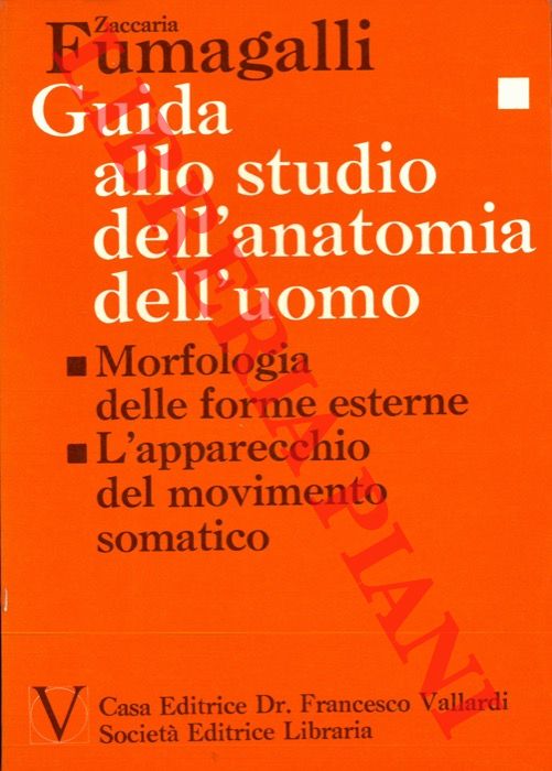 FUMAGALLI Zaccaria - - Guida allo studio della anatomia dell'uomo. Volume primo. Morfologia delle forme esterne. L'apparecchio del movimento somatico.