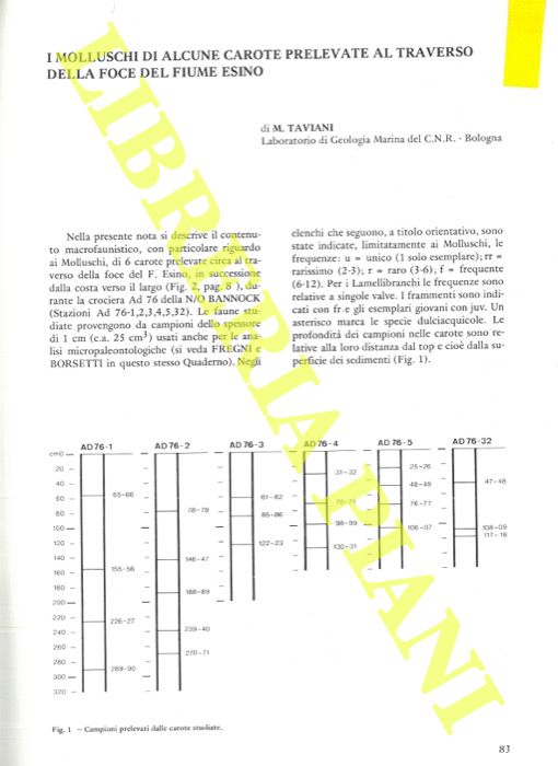 TAVIANI M. - - I molluschi di alcune carote prelevate al traverso della foce del fiume Esino.