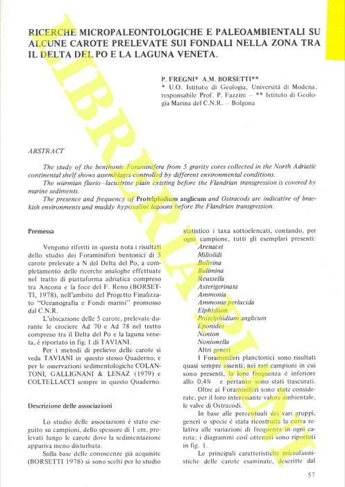 FREGNI P. - BORSETTI A.M. - - Ricerche micropaleontologiche e paleoambientali su alcune carote prelevate sui fondali nella zona tra il Delta del Po e la laguna veneta.